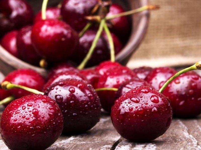Вишня купить саженцы из питомника в Новокуйбышевске